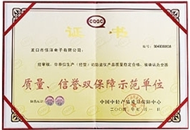 質(zhì)量、信譽雙保障示范單位